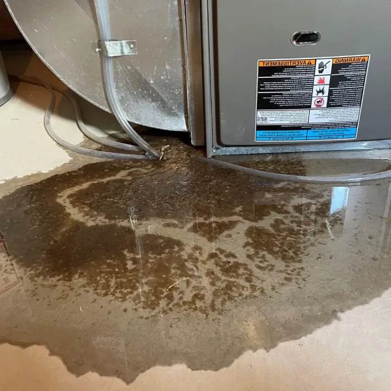 Pipe Burst and Leak Restoration in Saint Matthews, KY